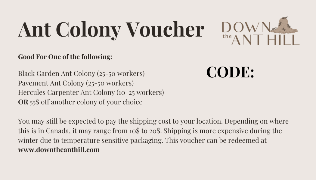 Digital Ant Colony Voucher