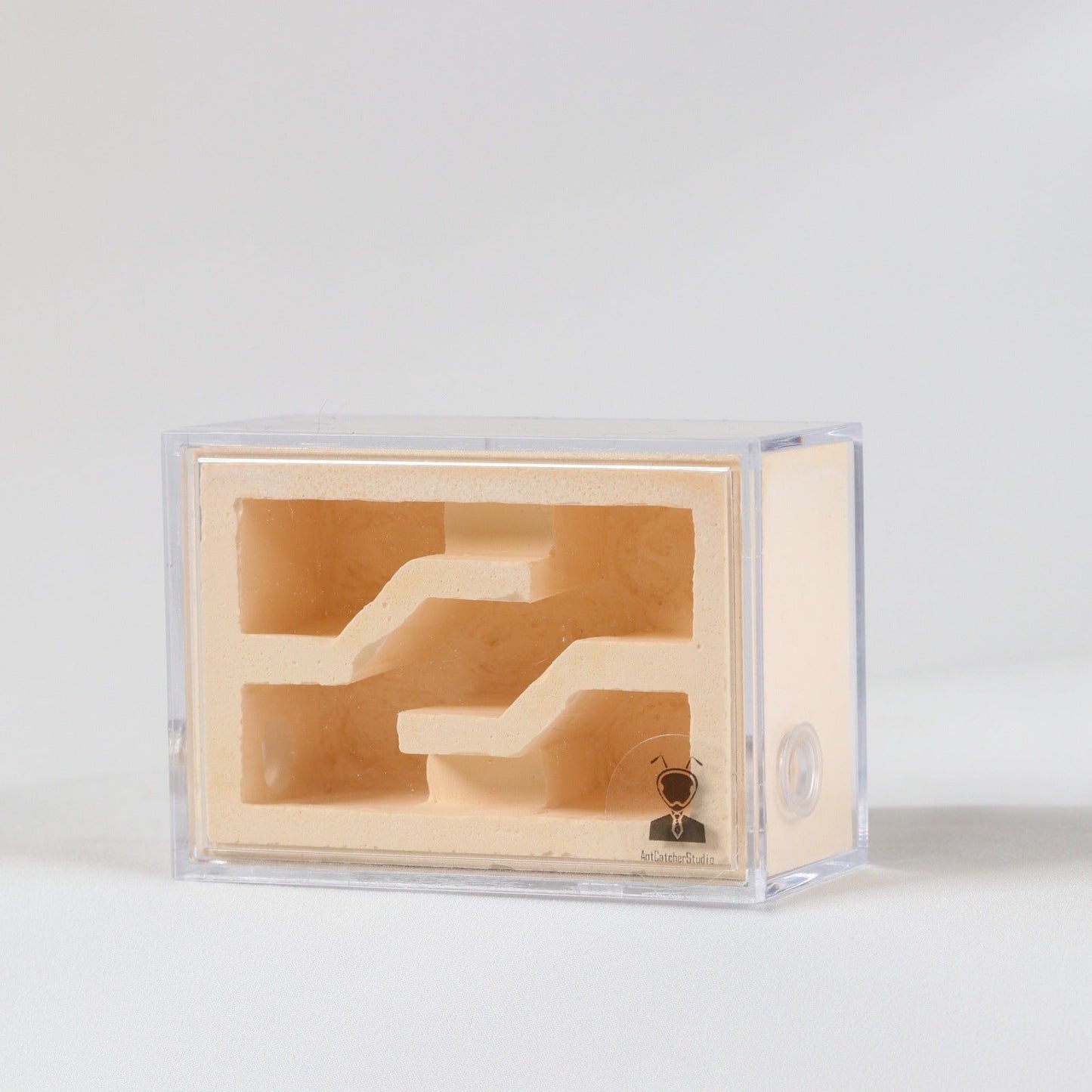 AntCatcherStudio Small Macaron Nest - Canada Ant Colony