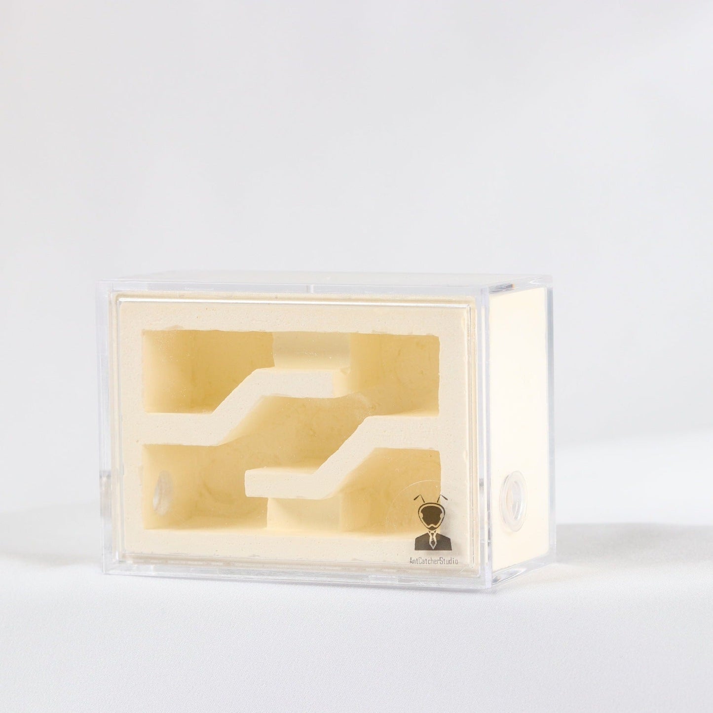 AntCatcherStudio Small Macaron Nest - Canada Ant Colony