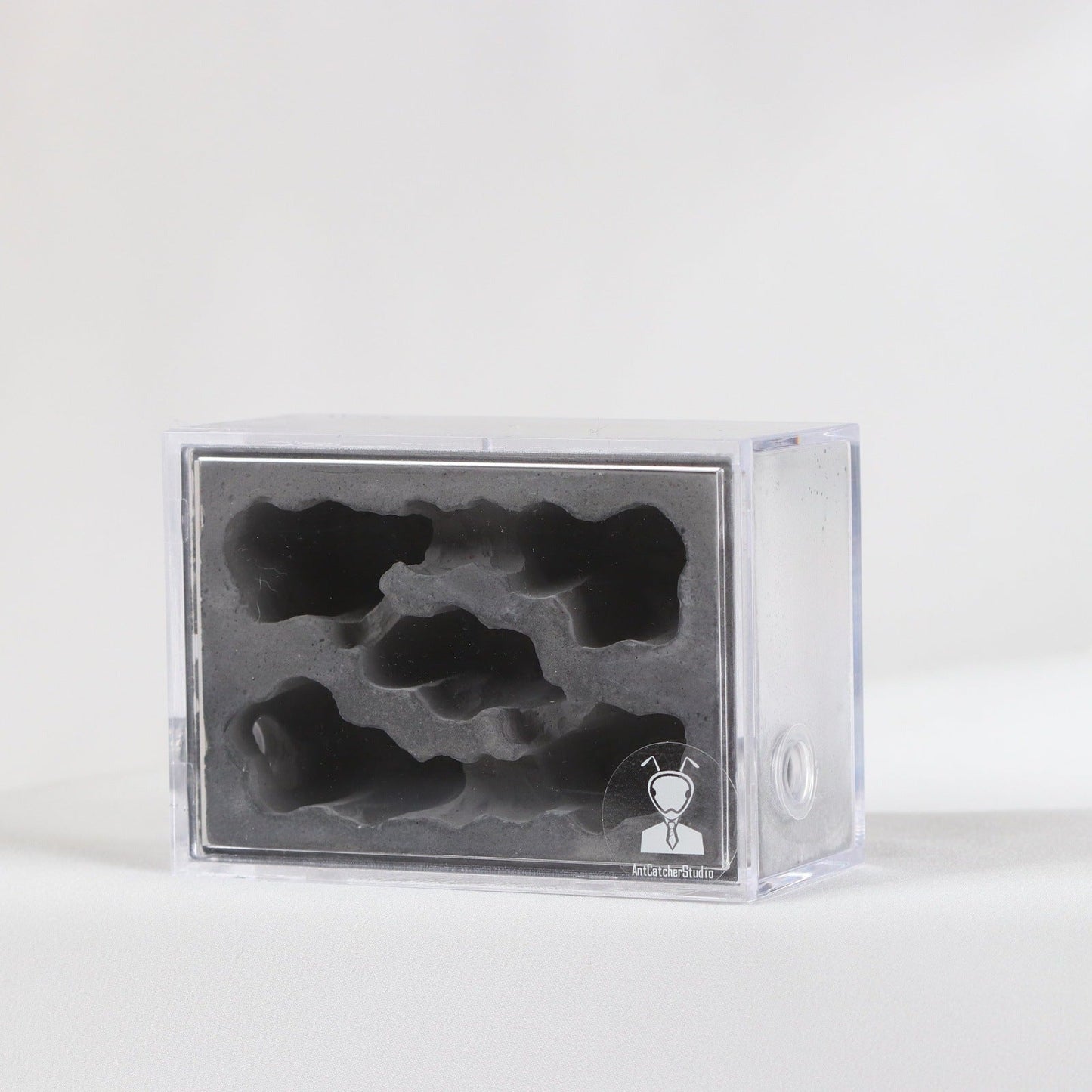 AntCatcherStudio Small Macaron Nest - Canada Ant Colony