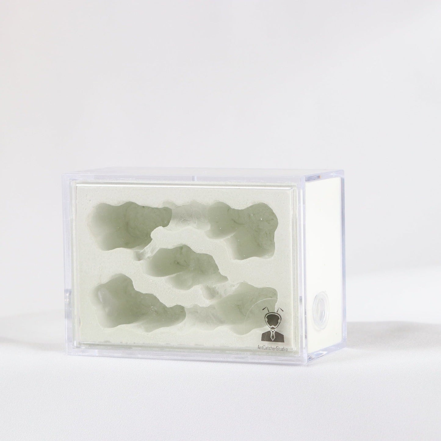 AntCatcherStudio Small Macaron Nest - Canada Ant Colony