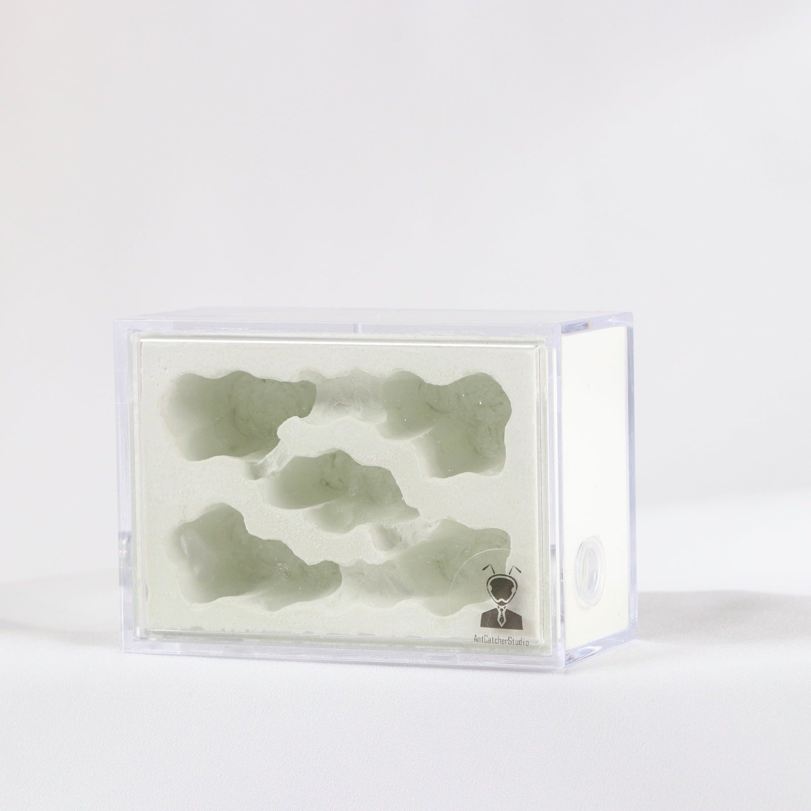 AntCatcherStudio Small Macaron Nest - Canada Ant Colony