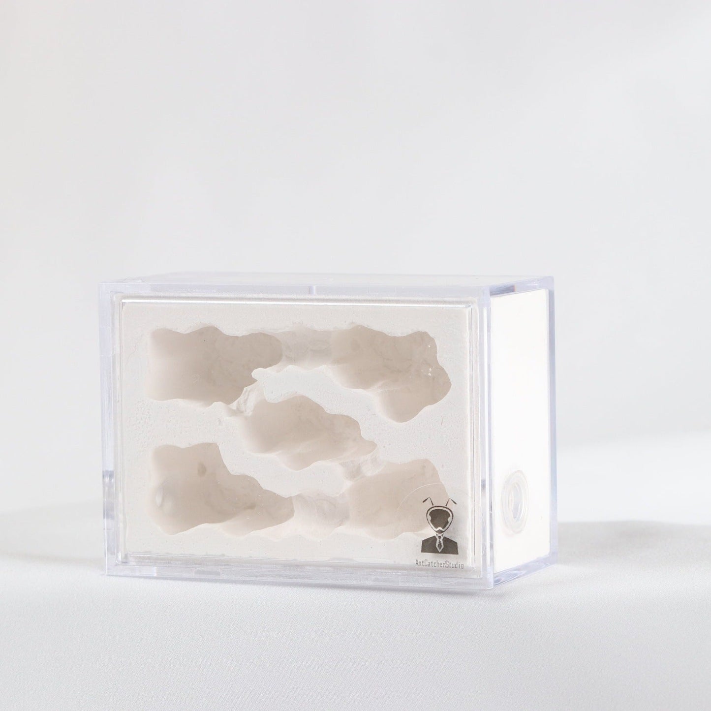 AntCatcherStudio Small Macaron Nest - Canada Ant Colony