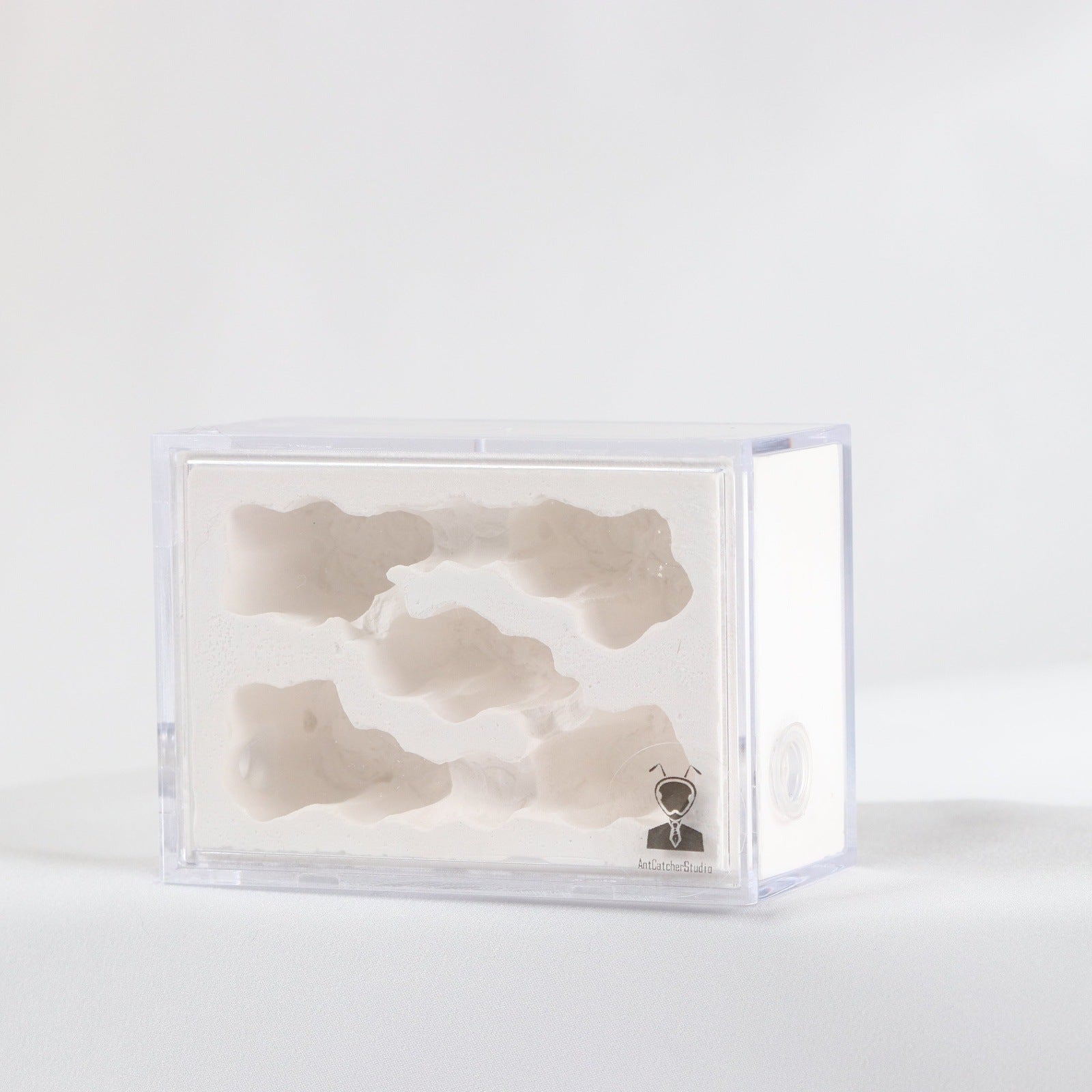 AntCatcherStudio Small Macaron Nest - Canada Ant Colony