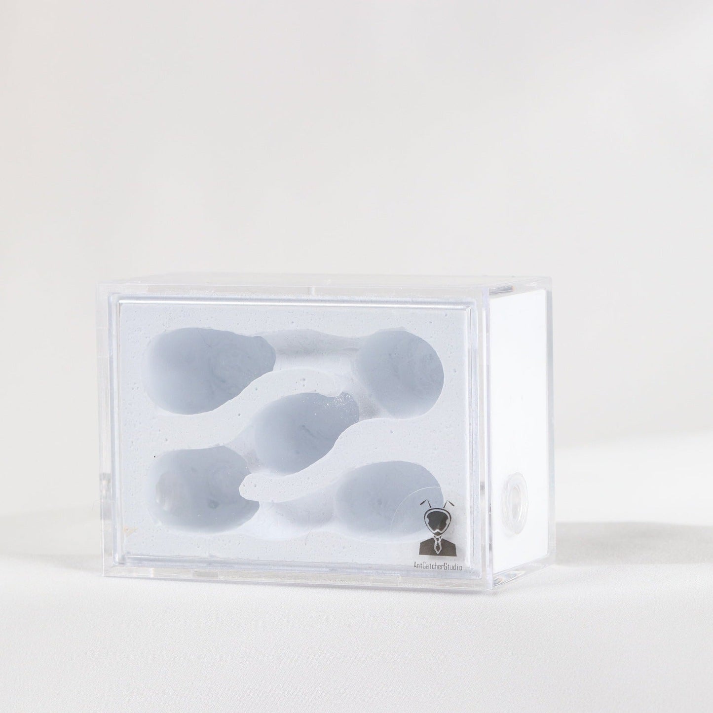 AntCatcherStudio Small Macaron Nest - Canada Ant Colony