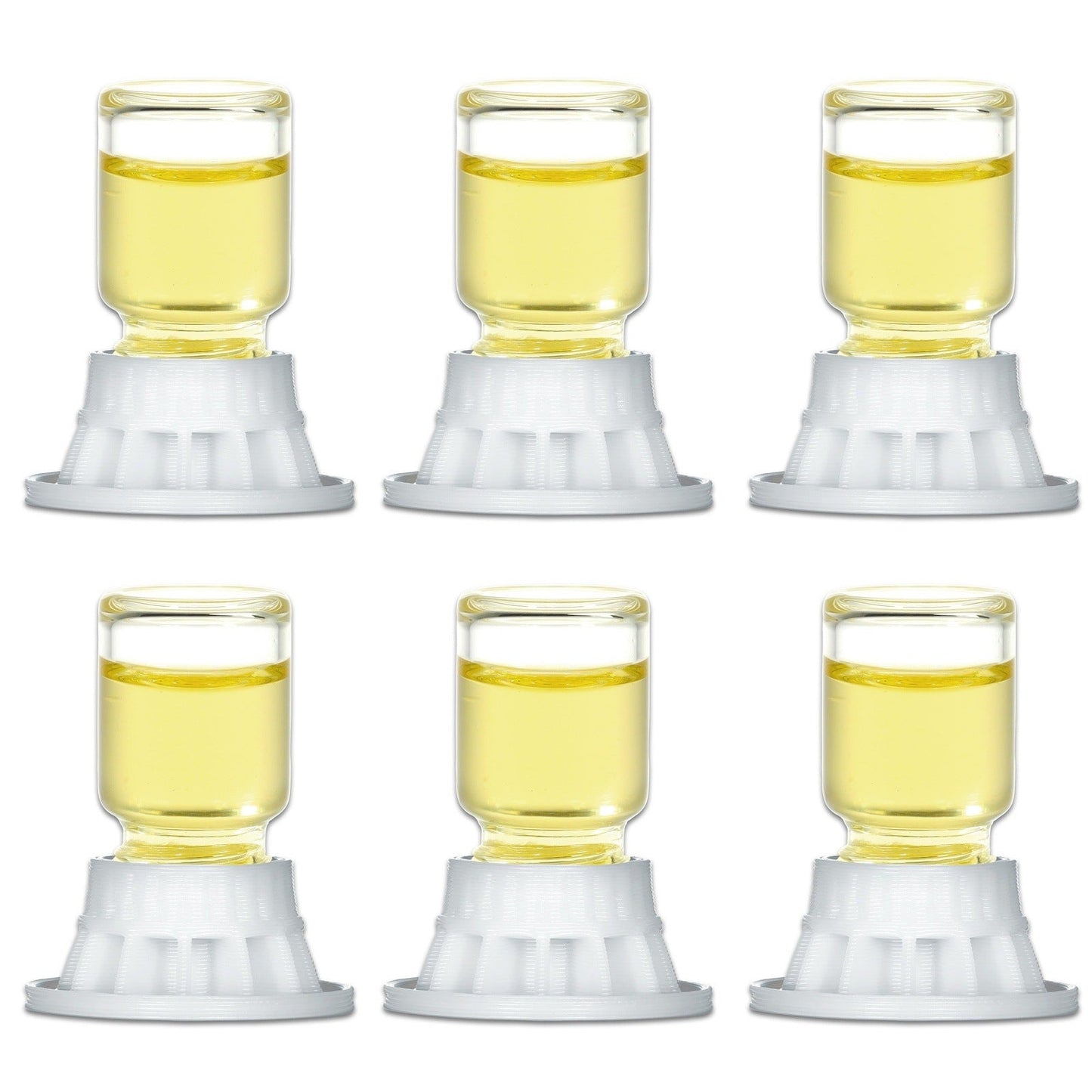 byFormica® Liquid Feeder Mini (6pc) - Canada Ant Colony