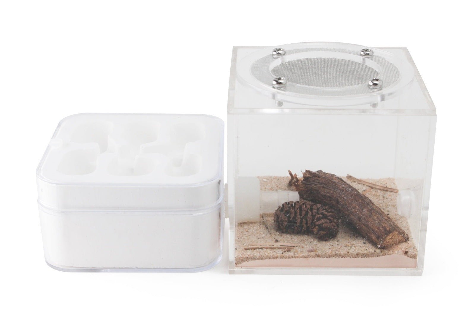 Hydrostone Nest - Camara - Canada Ant Colony