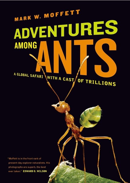 12 Best Books to Learn About Ants - Canada Ant Colony