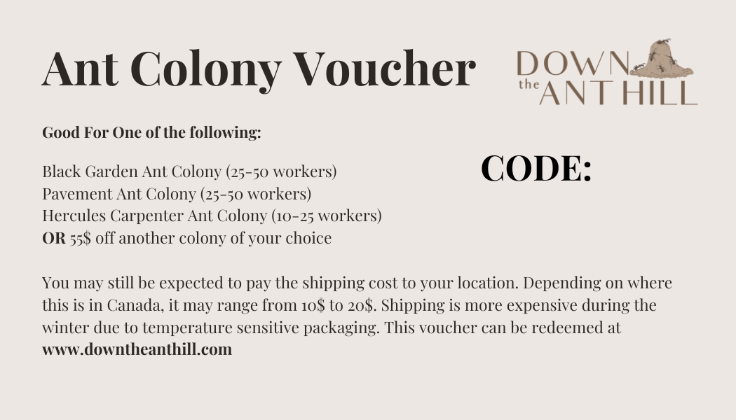 Ant Colony Voucher