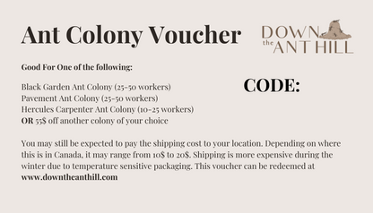 Ant Colony Voucher