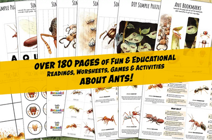 Comprehensive Ant Nature Study