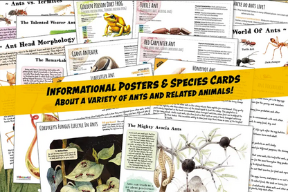 Comprehensive Ant Nature Study