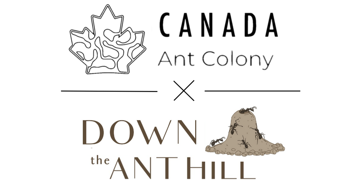 5$ Shipping for Ants! – Canada Ant Colony