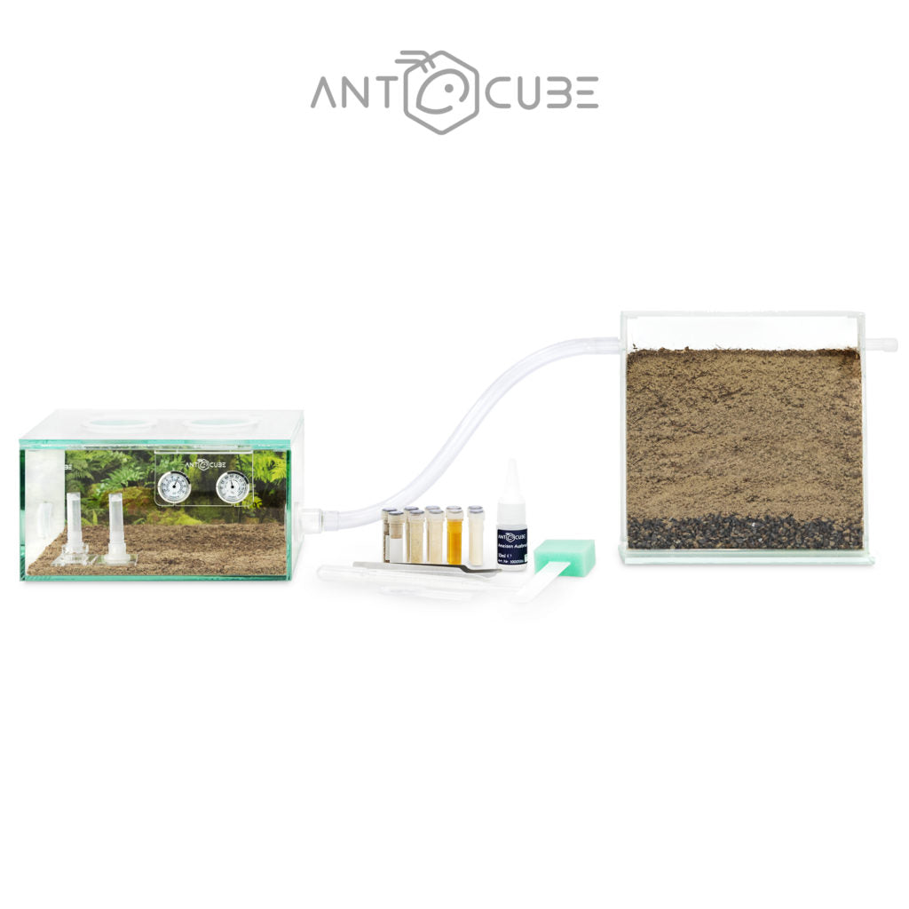 ANTCUBE Starter Set- 20x20 - Incomplete Clearance Sets