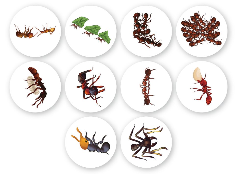Ant Stickers – Canada Ant Colony