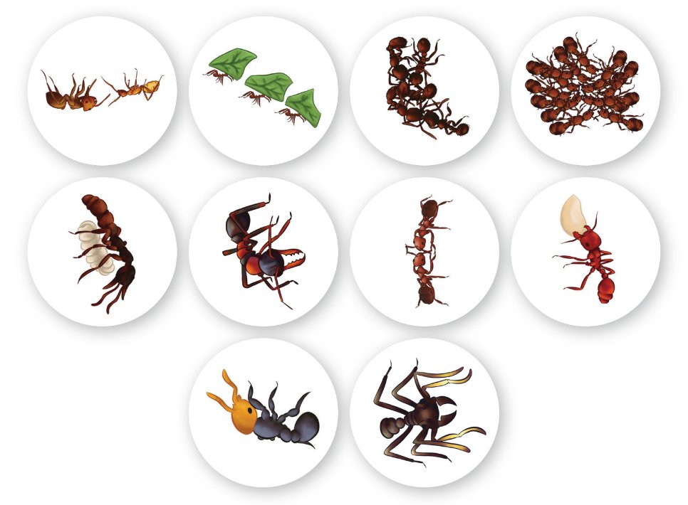 Ant Stickers - Canada Ant Colony