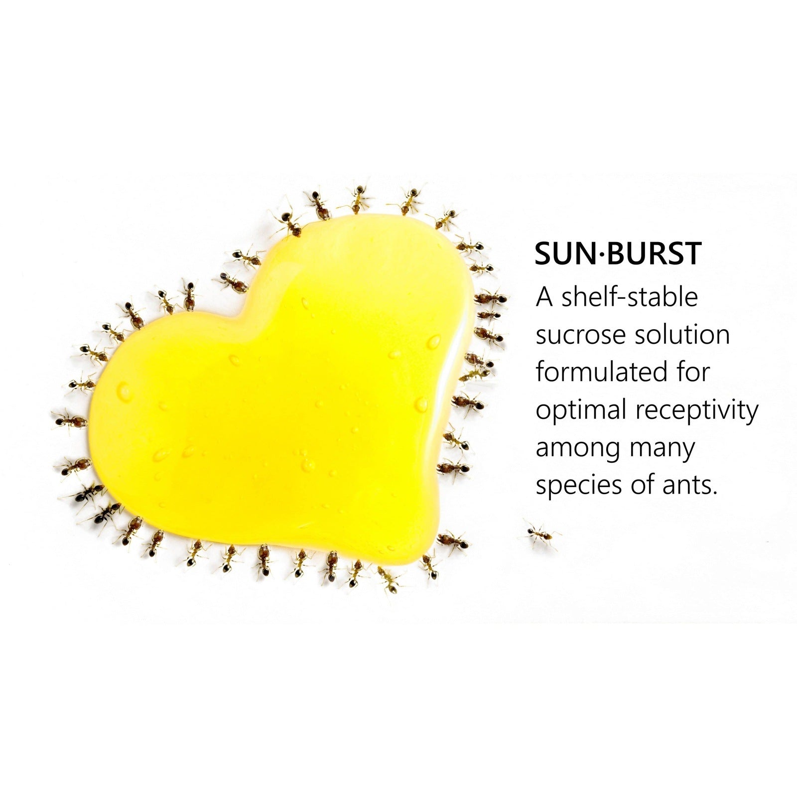 byFormica® Sunburst™ Ant Nectar - Canada Ant Colony