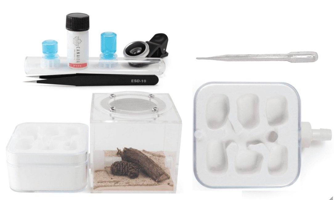 Hydrostone Nest - Camara Starter Kit - Canada Ant Colony