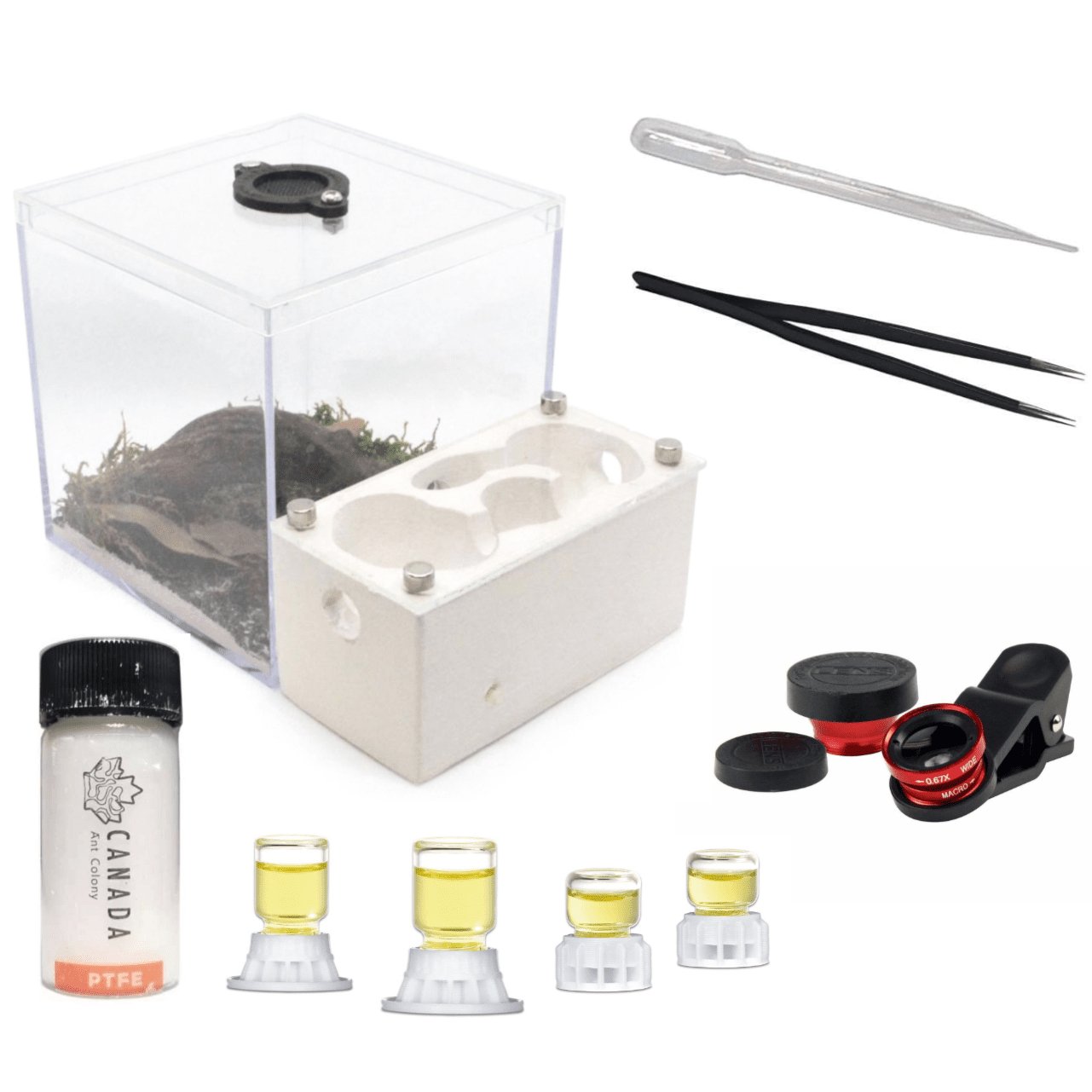 Itsa: Ant Nest Starter Kit - Canada Ant Colony