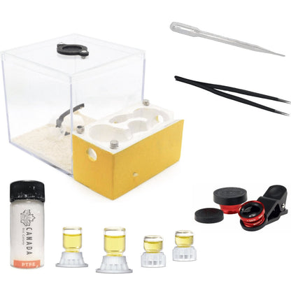 Itsa: Ant Nest Starter Kit - Canada Ant Colony