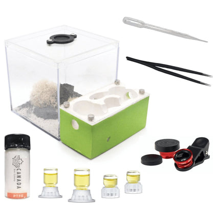 Itsa: Ant Nest Starter Kit - Canada Ant Colony