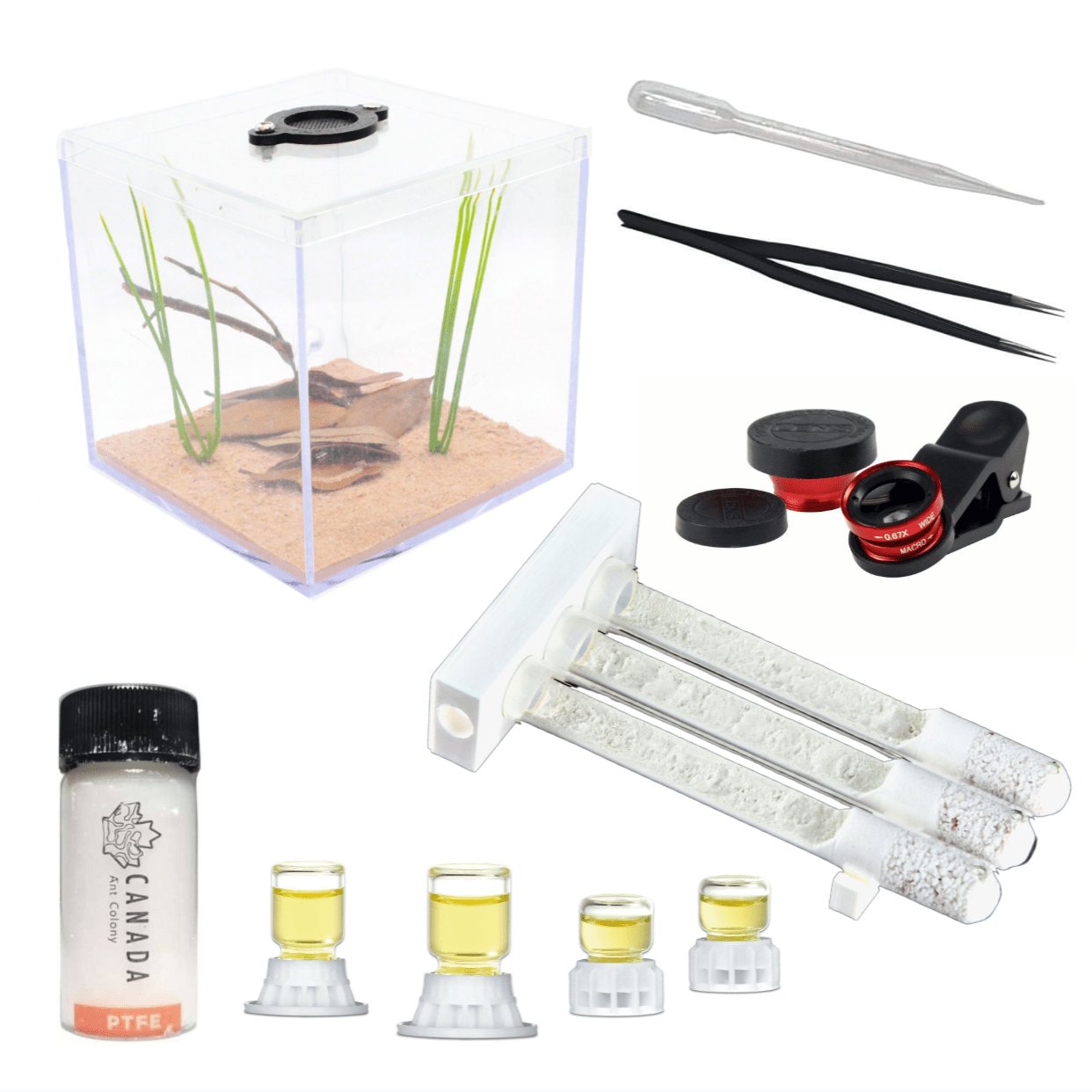 Por Amor Art Plastic Tube Array Starter Kit - Canada Ant Colony