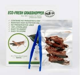 ProBugs Eco - Fresh Grasshopper - Canada Ant Colony