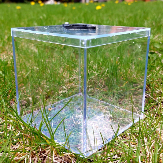 Small Blank Outworld - Canada Ant Colony