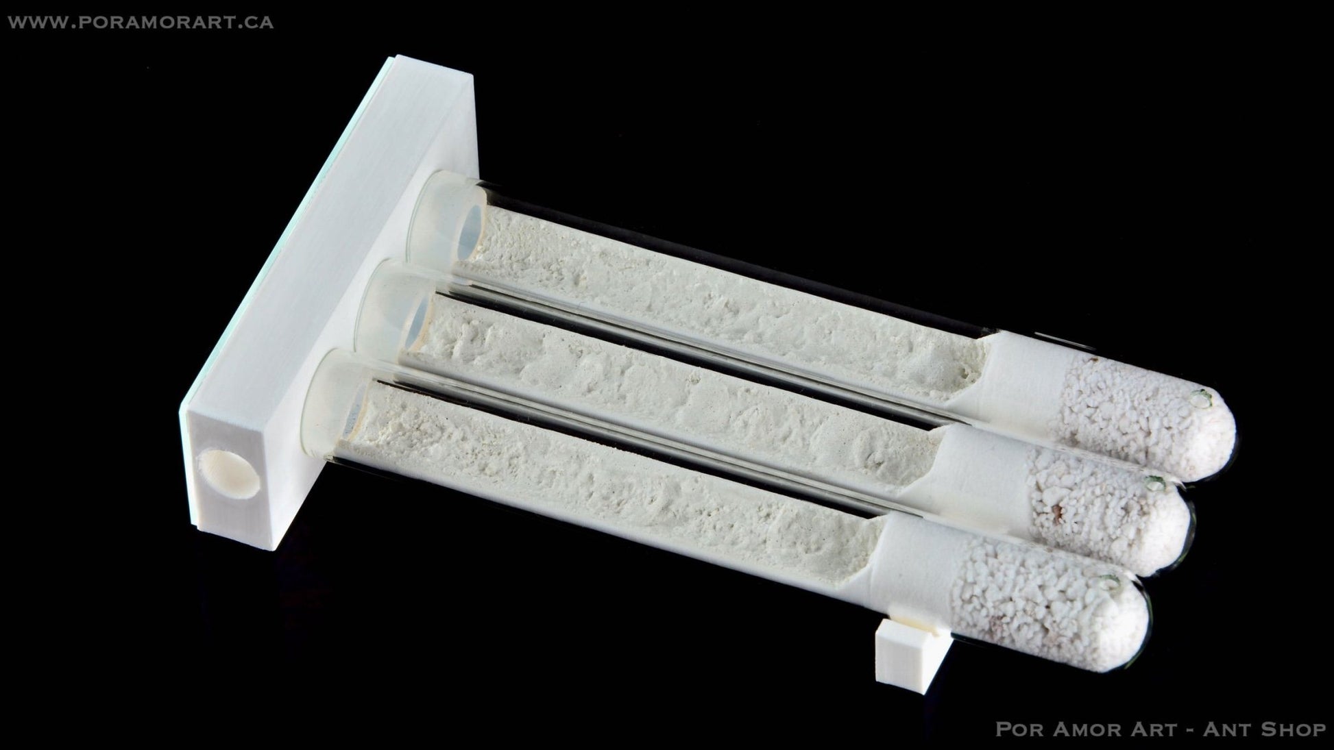 Window Test Tube Array Formicarium Plastic texture 12.7mm (1/2 Inch) - Canada Ant Colony