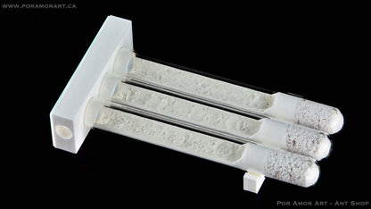 Window Test Tube Array Formicarium Sanded texture 12.7mm (1/2 Inch) - Canada Ant Colony