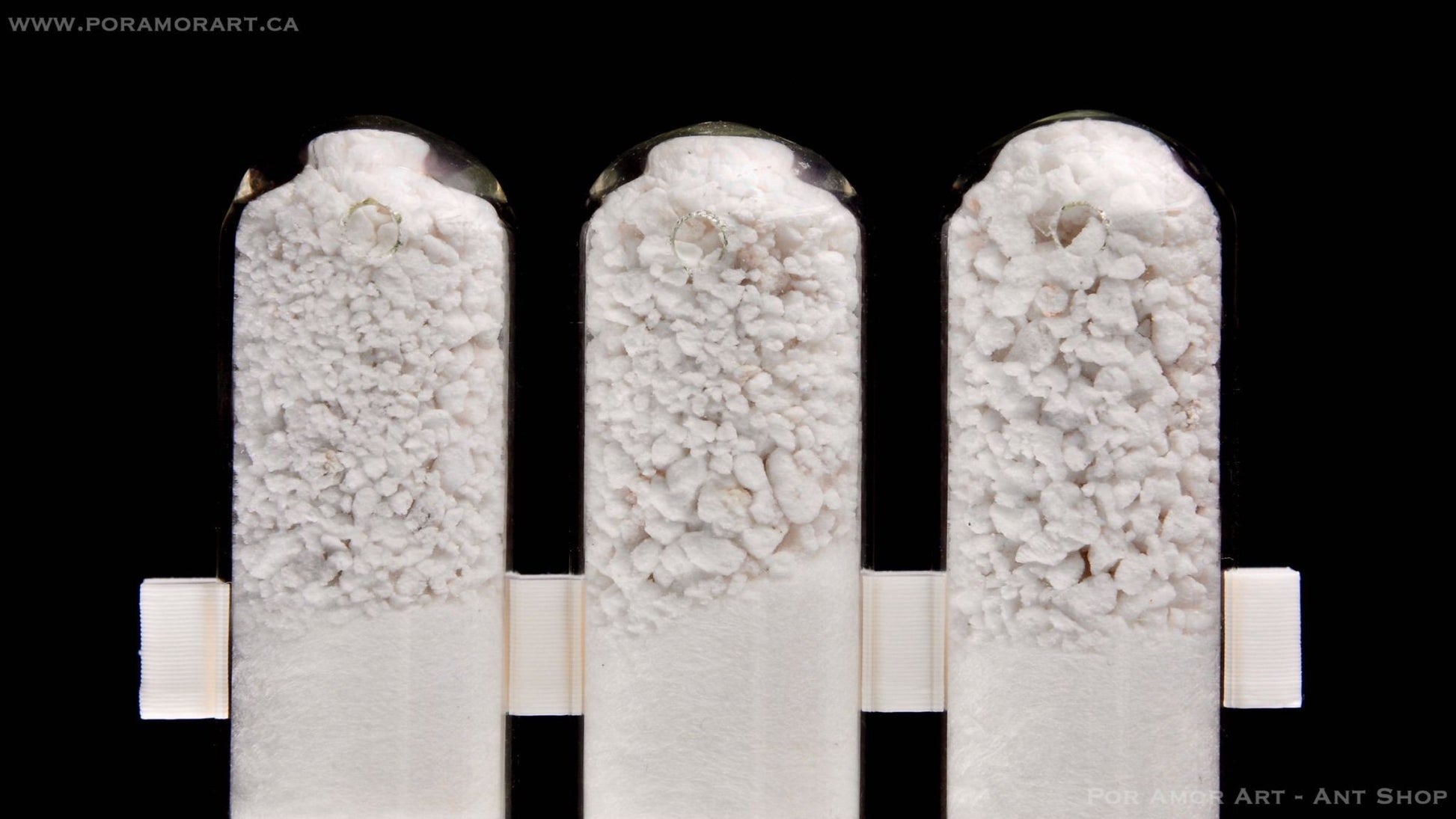 Window Test Tube Array Formicarium Sanded texture 12.7mm (1/2 Inch) - Canada Ant Colony