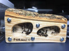 Load image into Gallery viewer, Foranto Wood Nests- 3.5cm x 6.5cm

