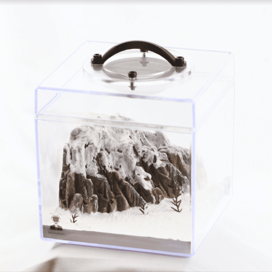 AntCatcherStudio Macroscopic Mountains Nest canada-colony
