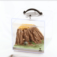 Load image into Gallery viewer, AntCatcherStudio Macroscopic Tree Stump Nest
