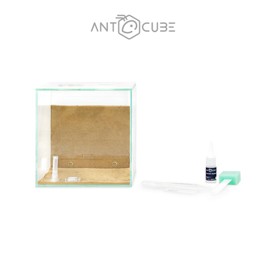 ANTCUBE Starter Set - 20x20 - Combi canada-colony