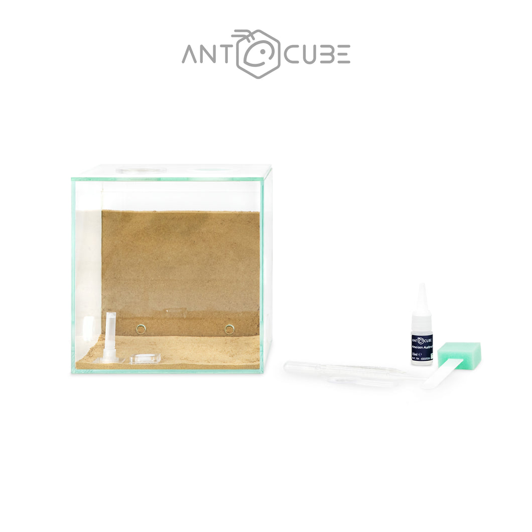 ANTCUBE Starter Set - 20x20 - Combiné