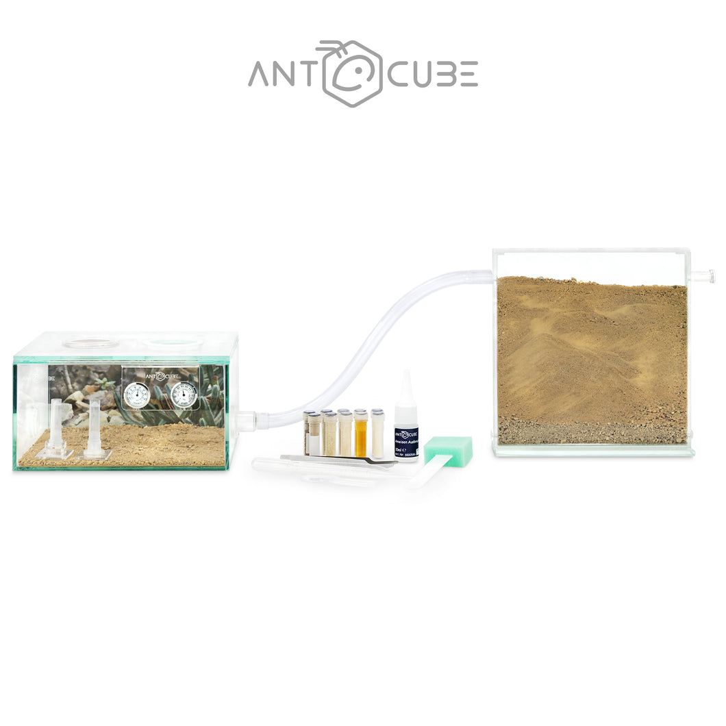 ANTCUBE Starter Set - 20x20 - Désert