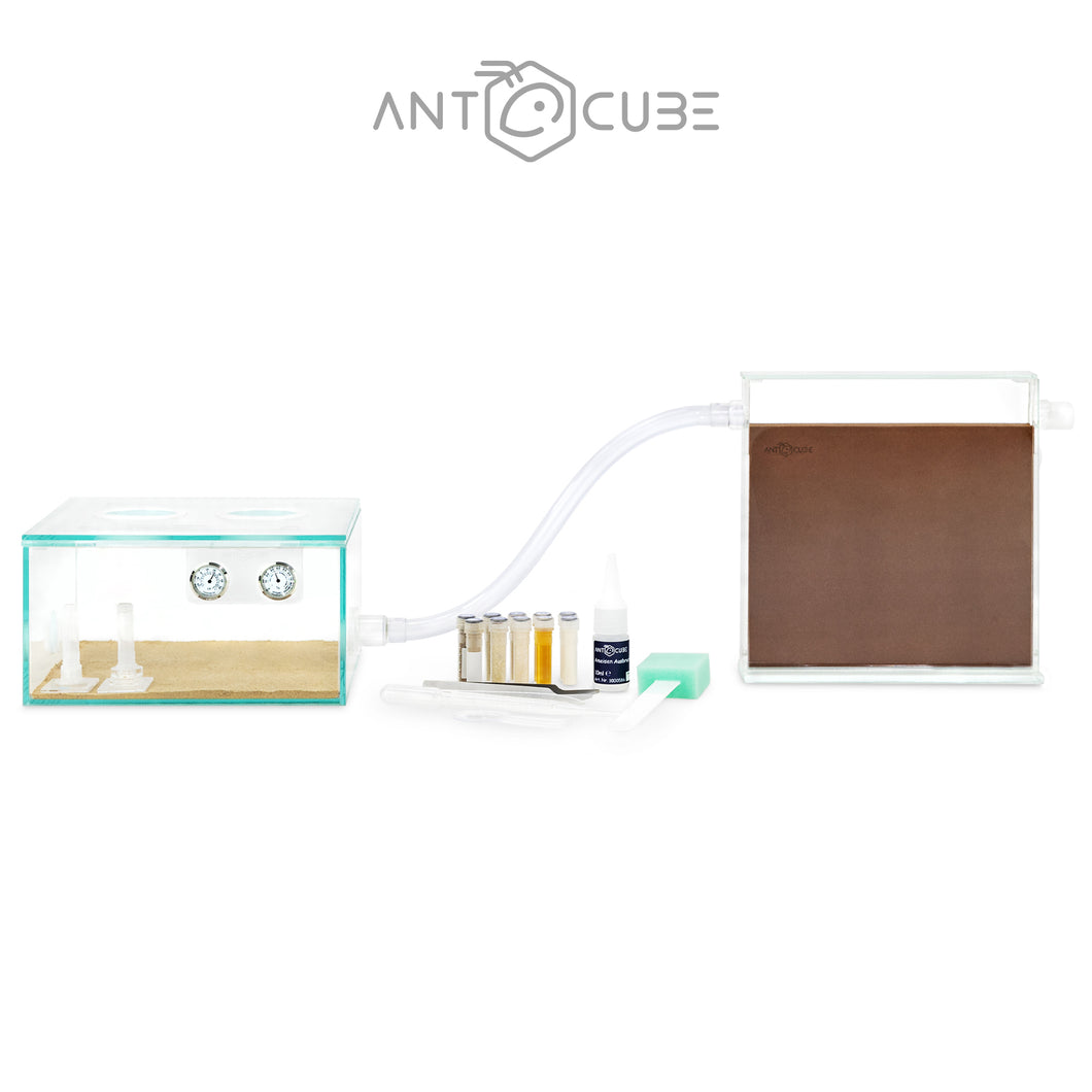 Kit de démarrage ANTCUBE - 20x20 - Digfix 
