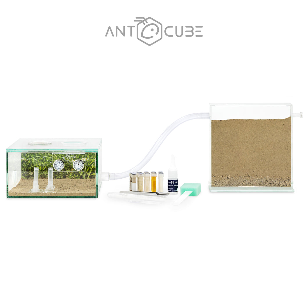ANTCUBE Starter Set - 20x20 - Meadow