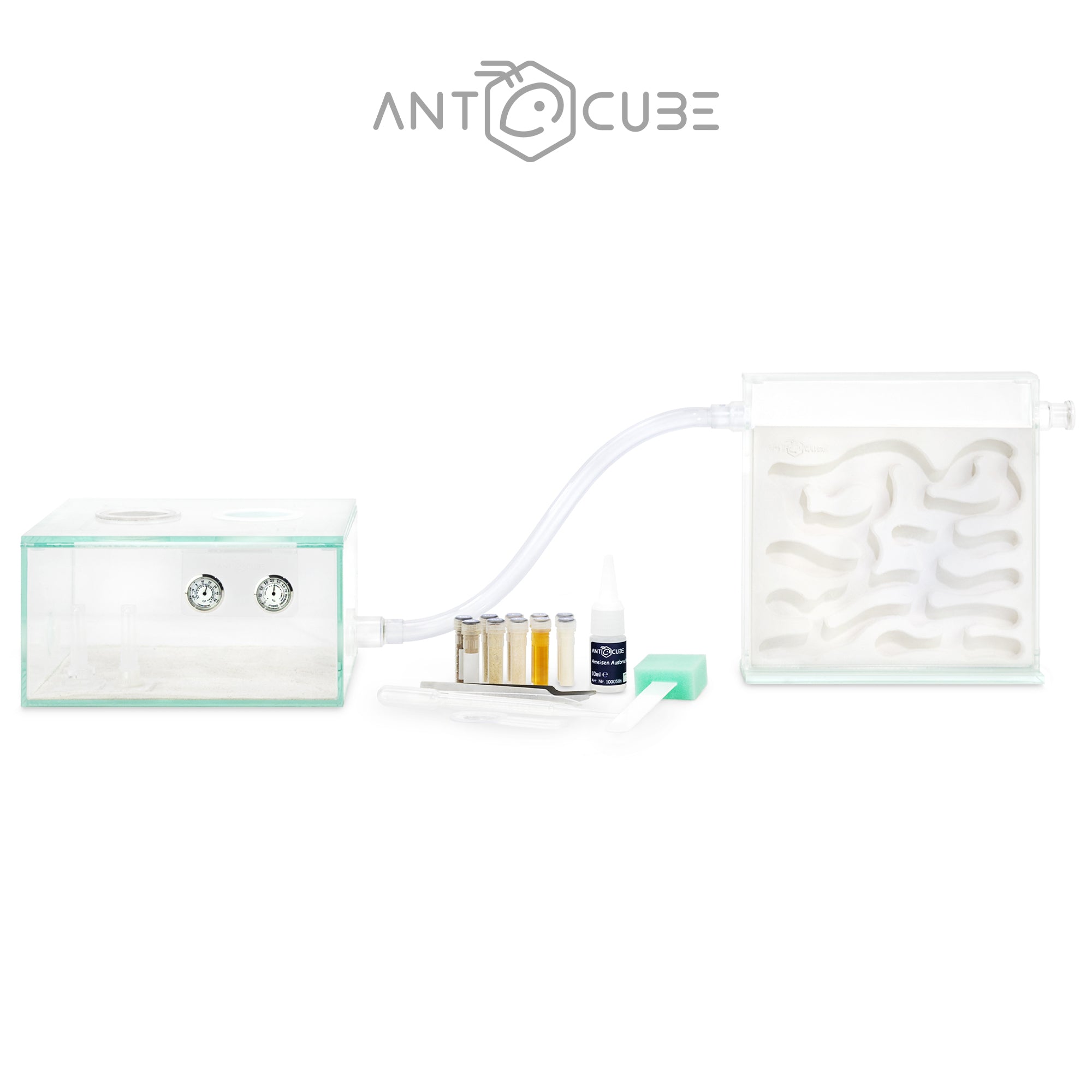 Paquete de cultivo inicial bioactivo de Colonia de Hormigas USA
