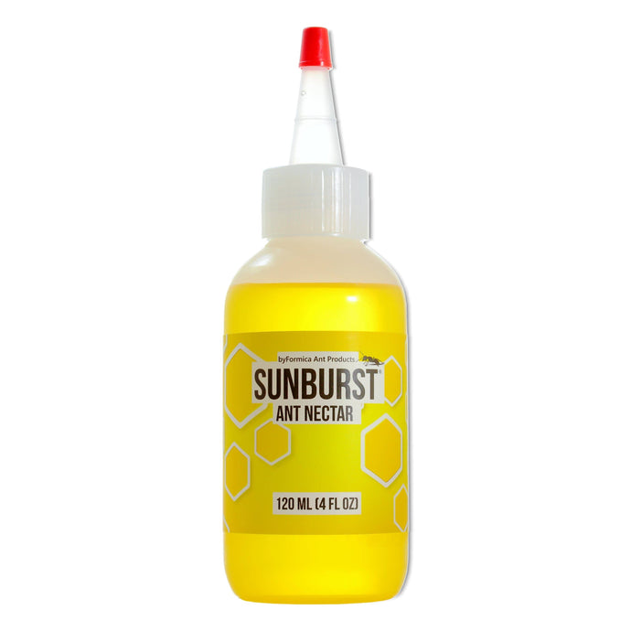 byFormica® Sunburst™ Ant Nectar - Canada Ant Colony