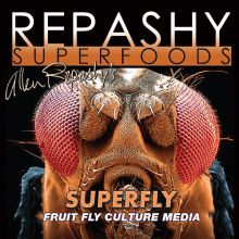 Repashy SuperFly Kit de culture de mouches des fruits